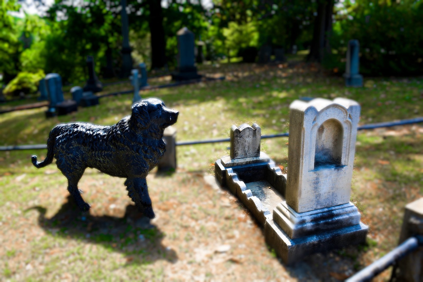 DSC_0061 edited 1-12 Cast iron dog guarding the cradle crave of Burnadette as seen on a Hollywood Cemtery tour on a Historian Jane tour